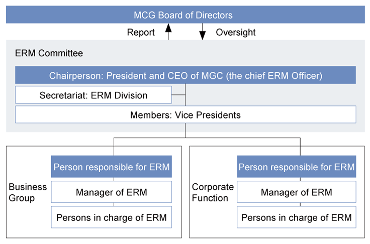 Mitsubishi Chemical Group Risk Management System