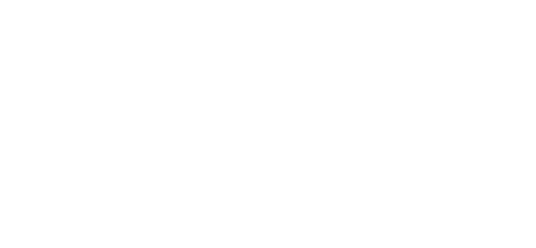 MITSUBISHI CHEMICAL GROUP