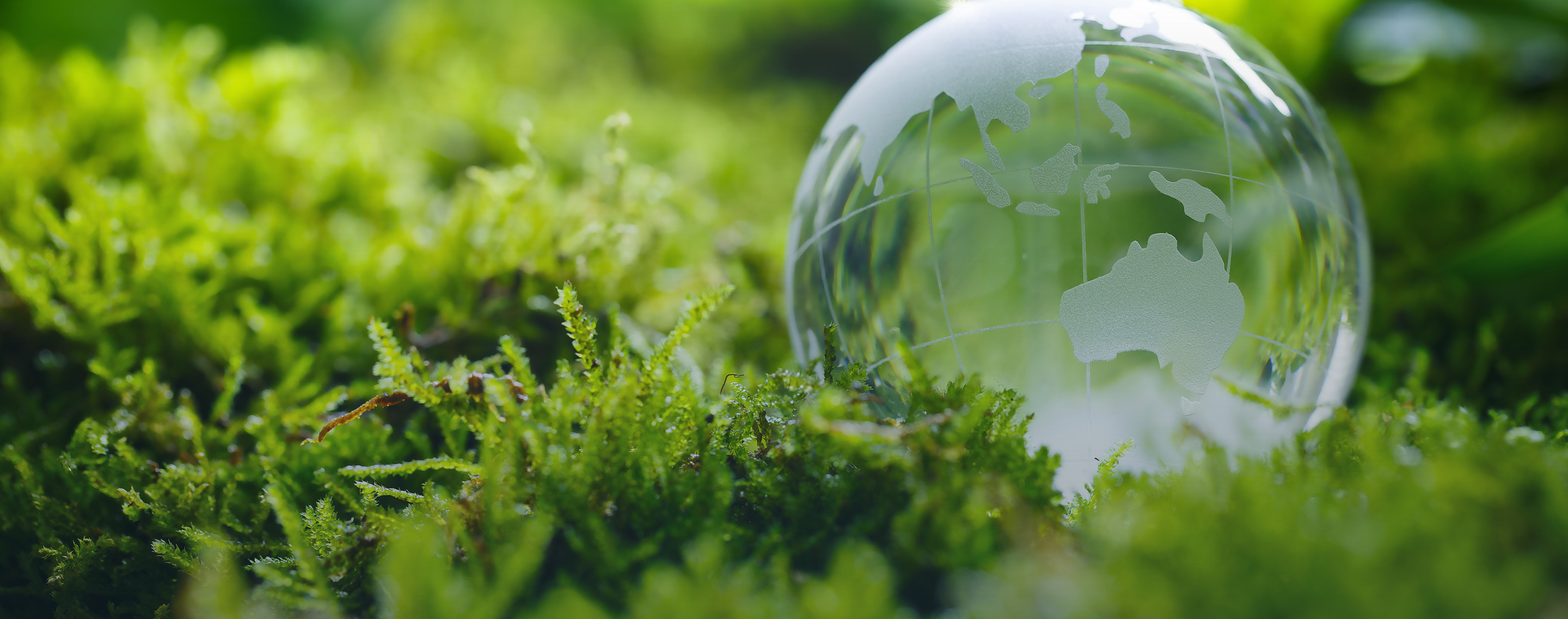 Bioplastics Contribution to a bioeconomy