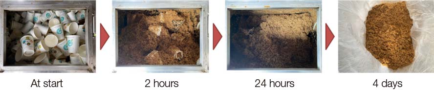 Composting process at the compost facilities