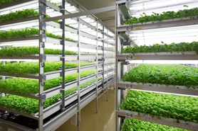 完全人工光型植物栽培設備